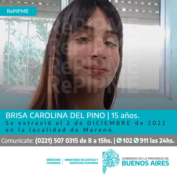 Brisa Carolina Del Pino